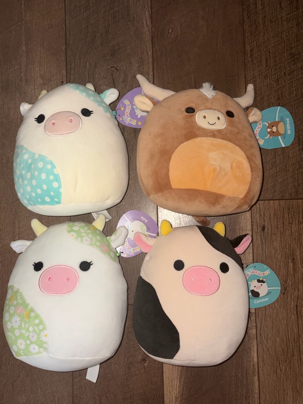 Squishmallow Cow Lot Connor Ada Belana Wilfred NWT